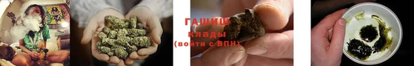 apvp Гусев