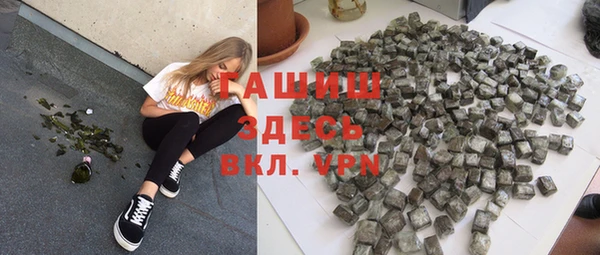 apvp Гусев