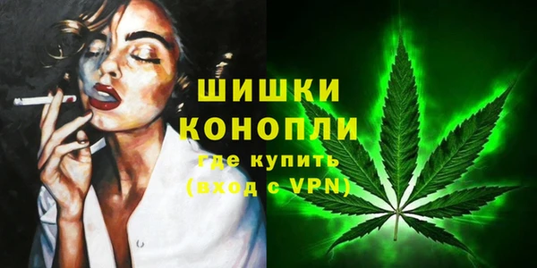 apvp Гусев
