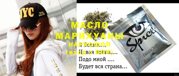 apvp Гусев